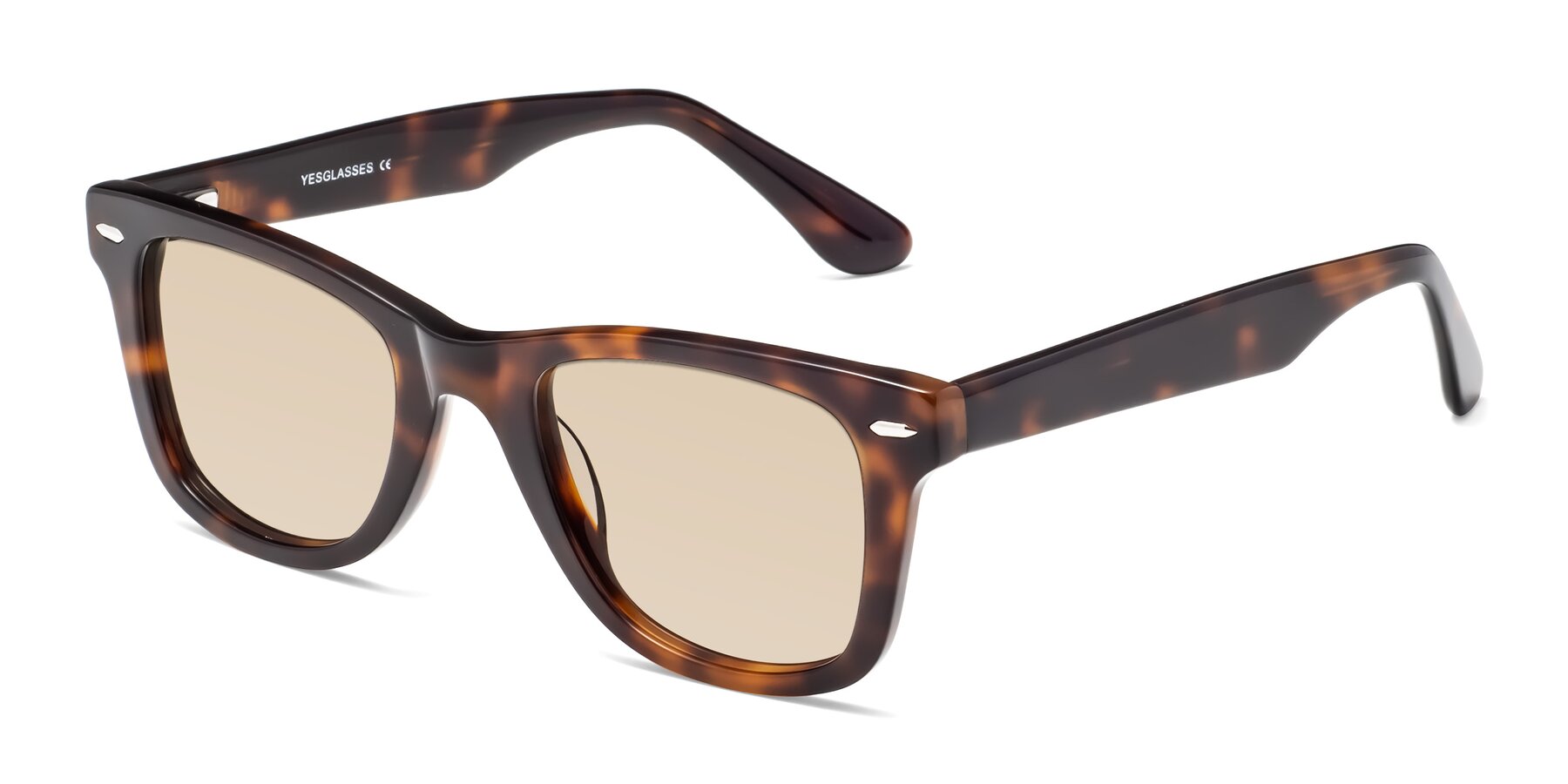 Angle of Rocky in Tortoise with Light Brown Tinted Lenses