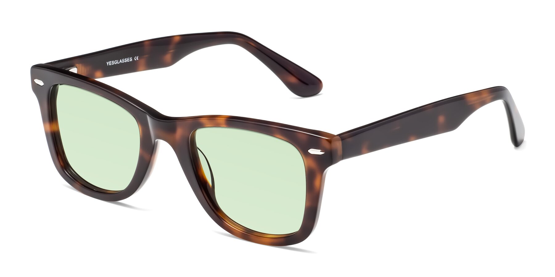 Angle of Rocky in Tortoise with Light Green Tinted Lenses