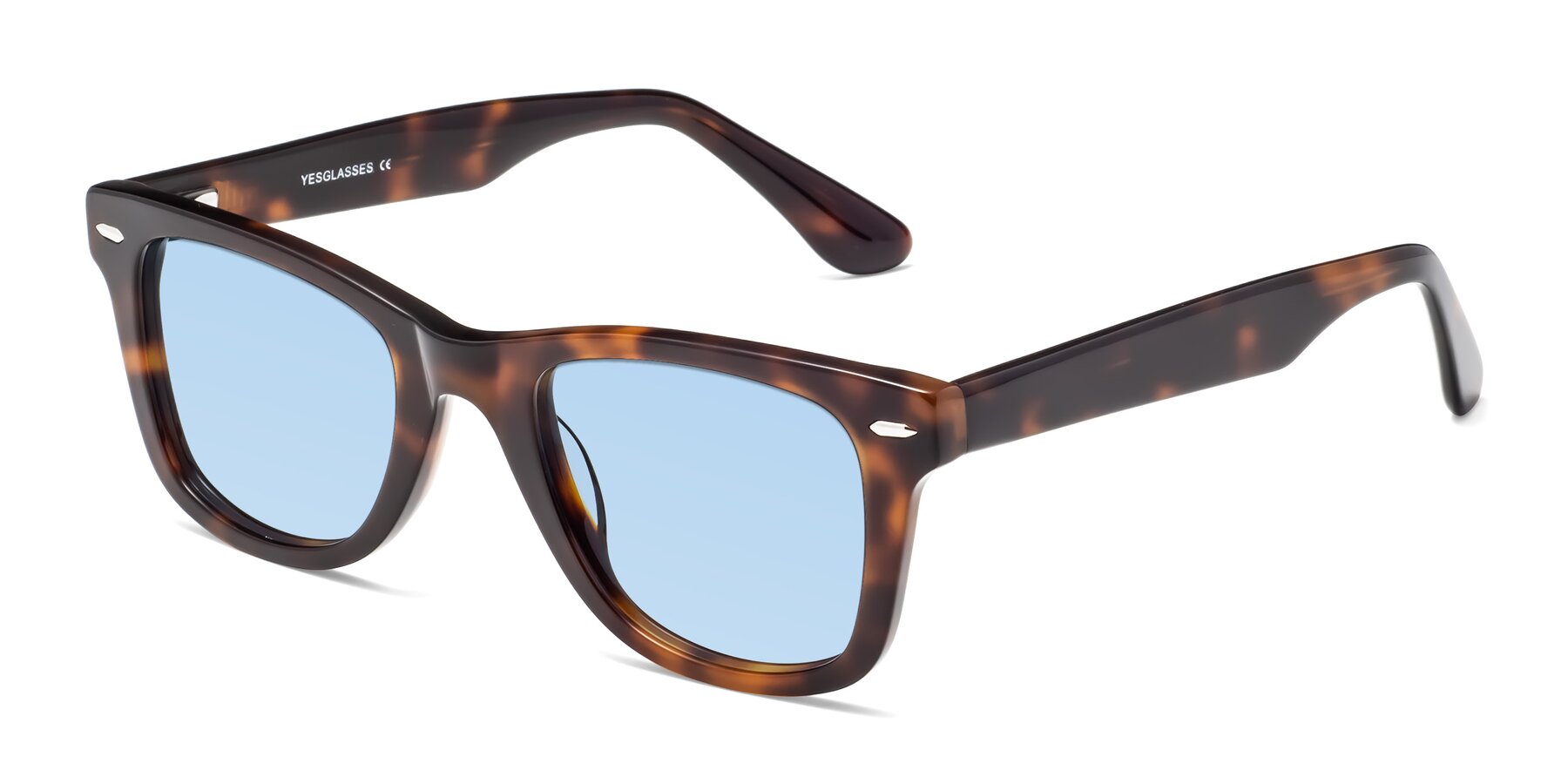 Angle of Rocky in Tortoise with Light Blue Tinted Lenses