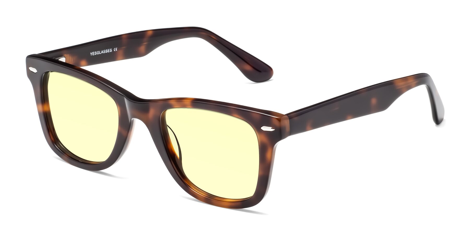Angle of Rocky in Tortoise with Light Yellow Tinted Lenses
