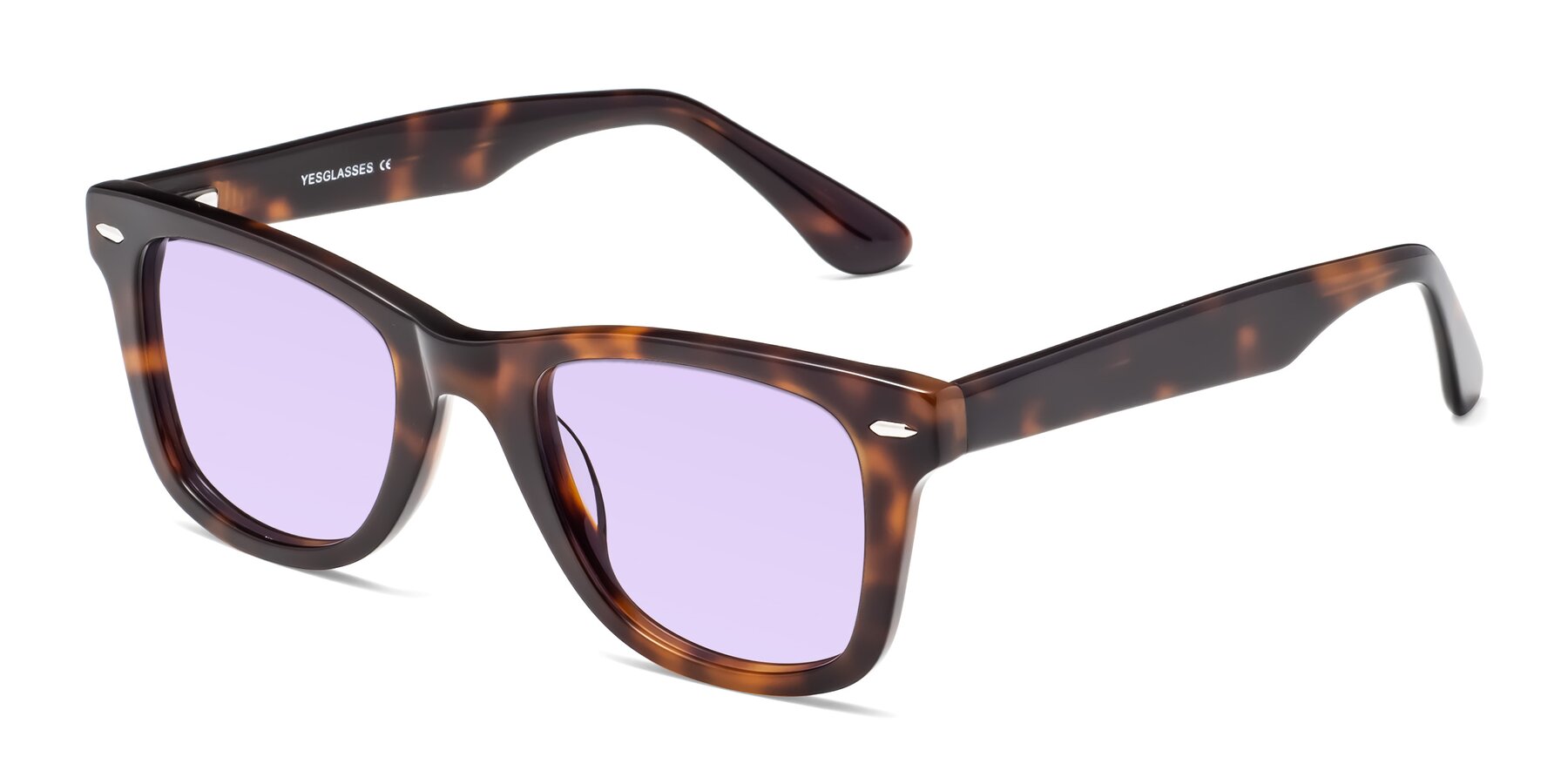 Angle of Rocky in Tortoise with Light Purple Tinted Lenses