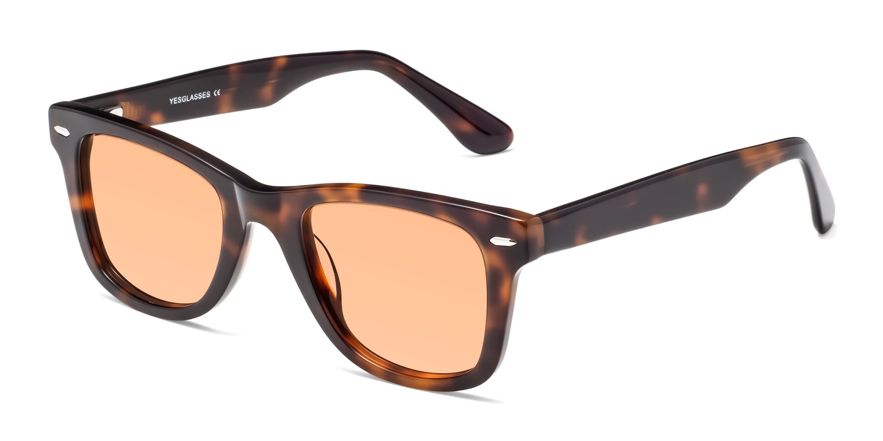Angle of Rocky in Tortoise with Light Orange Tinted Lenses