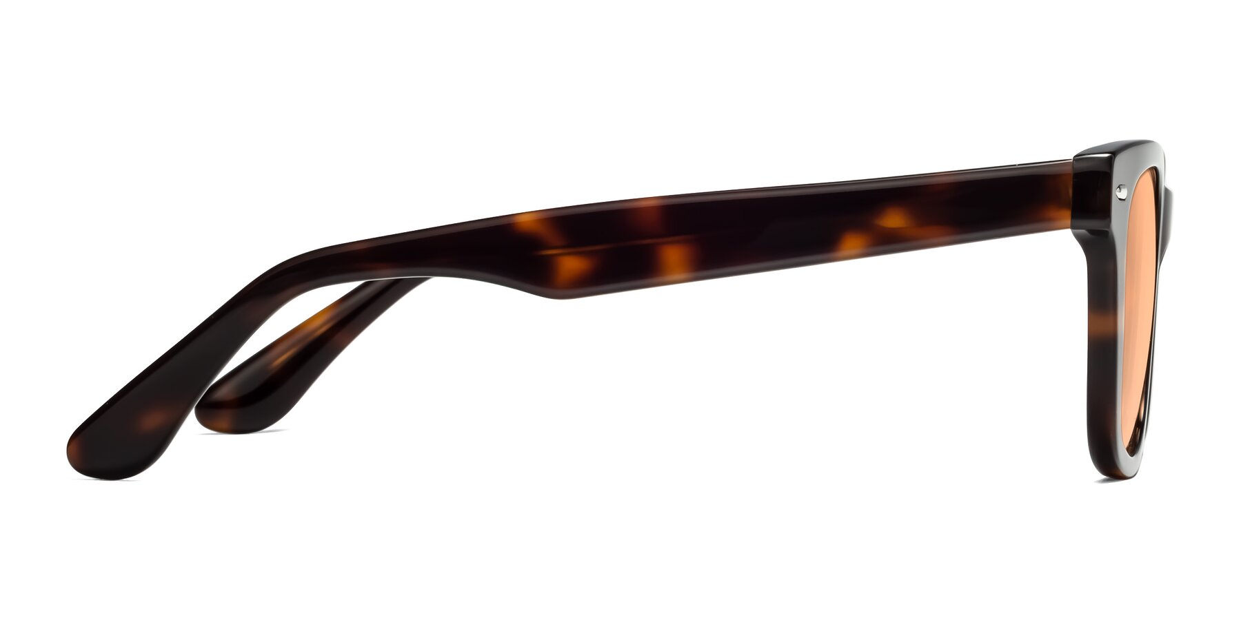 Side of Rocky in Tortoise with Light Orange Tinted Lenses