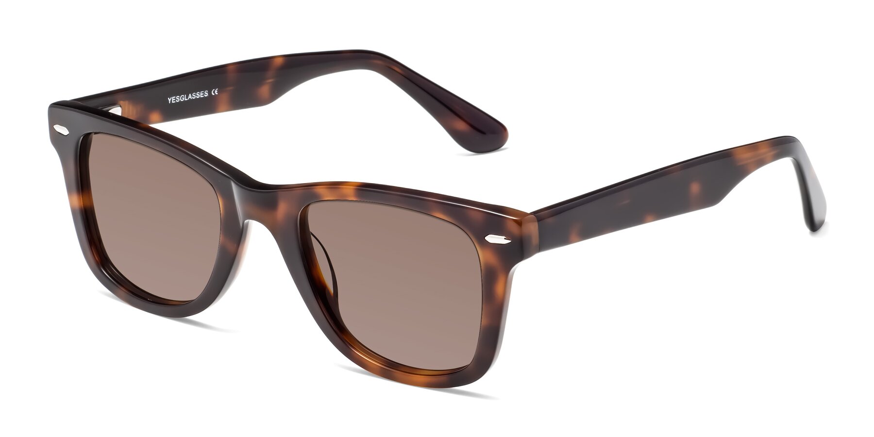 Angle of Rocky in Tortoise with Medium Brown Tinted Lenses