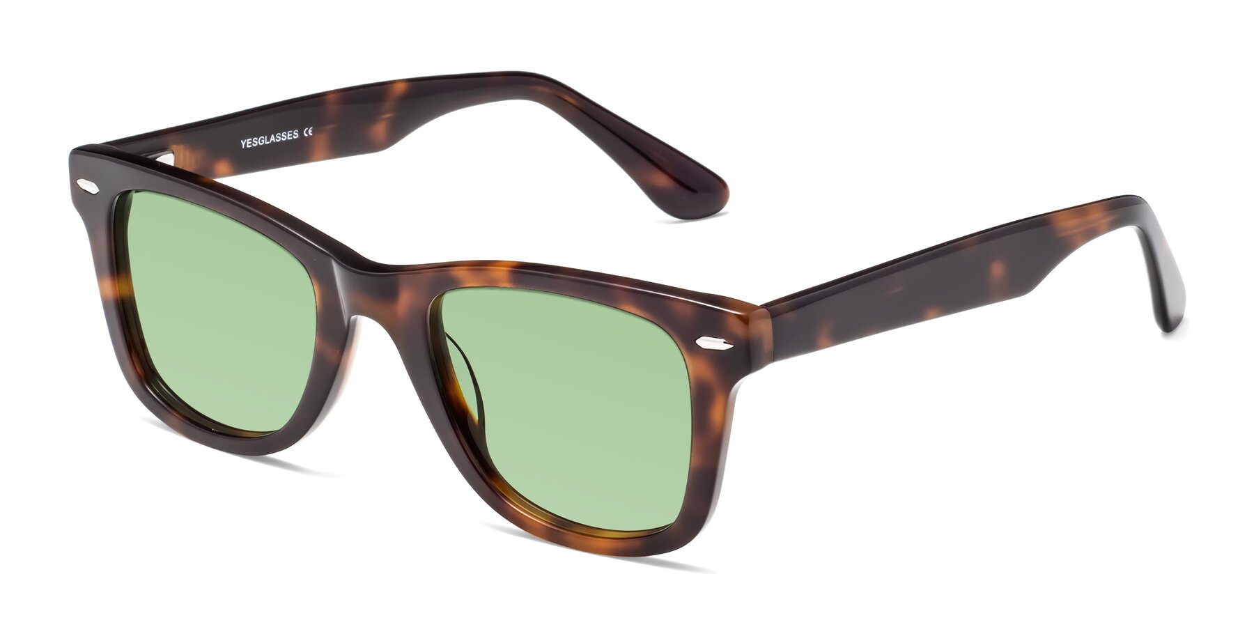 Angle of Rocky in Tortoise with Medium Green Tinted Lenses