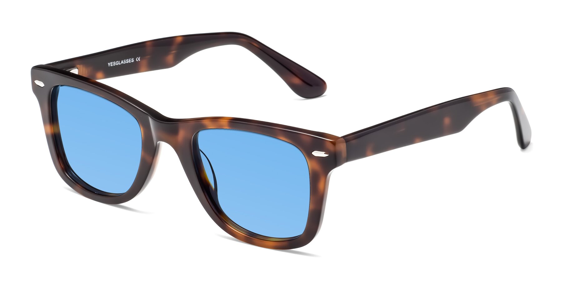 Angle of Rocky in Tortoise with Medium Blue Tinted Lenses
