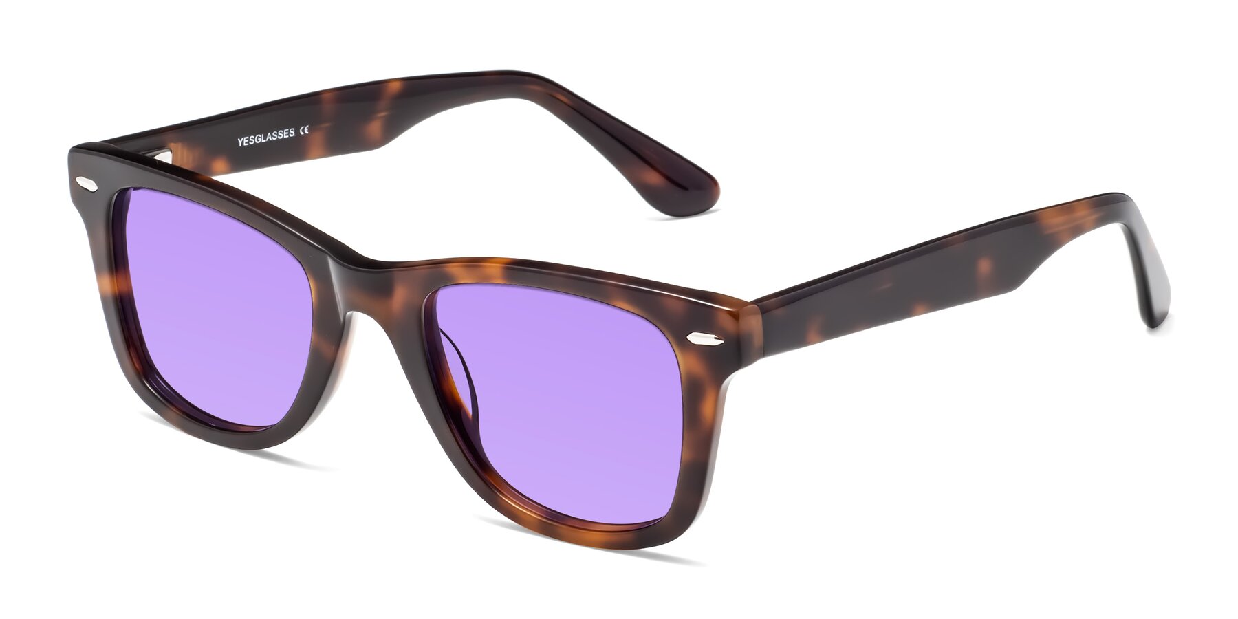 Angle of Rocky in Tortoise with Medium Purple Tinted Lenses