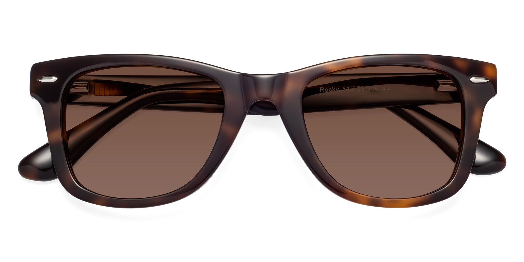 Folded Front of Rocky in Tortoise with Brown Tinted Lenses