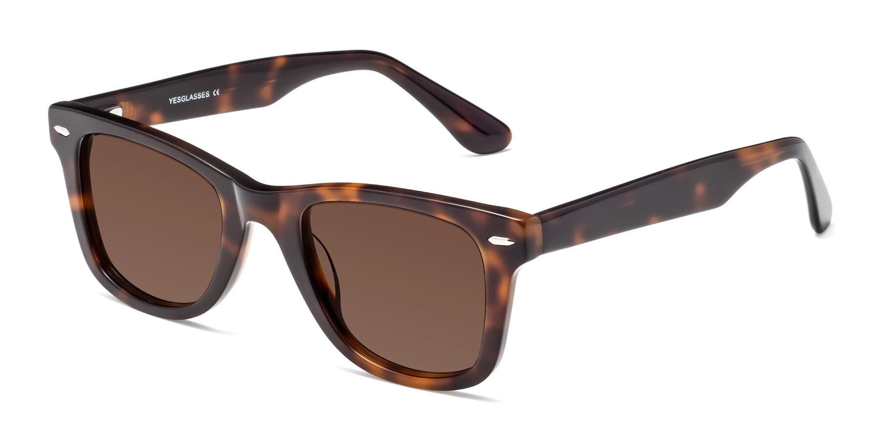 Angle of Rocky in Tortoise with Brown Tinted Lenses