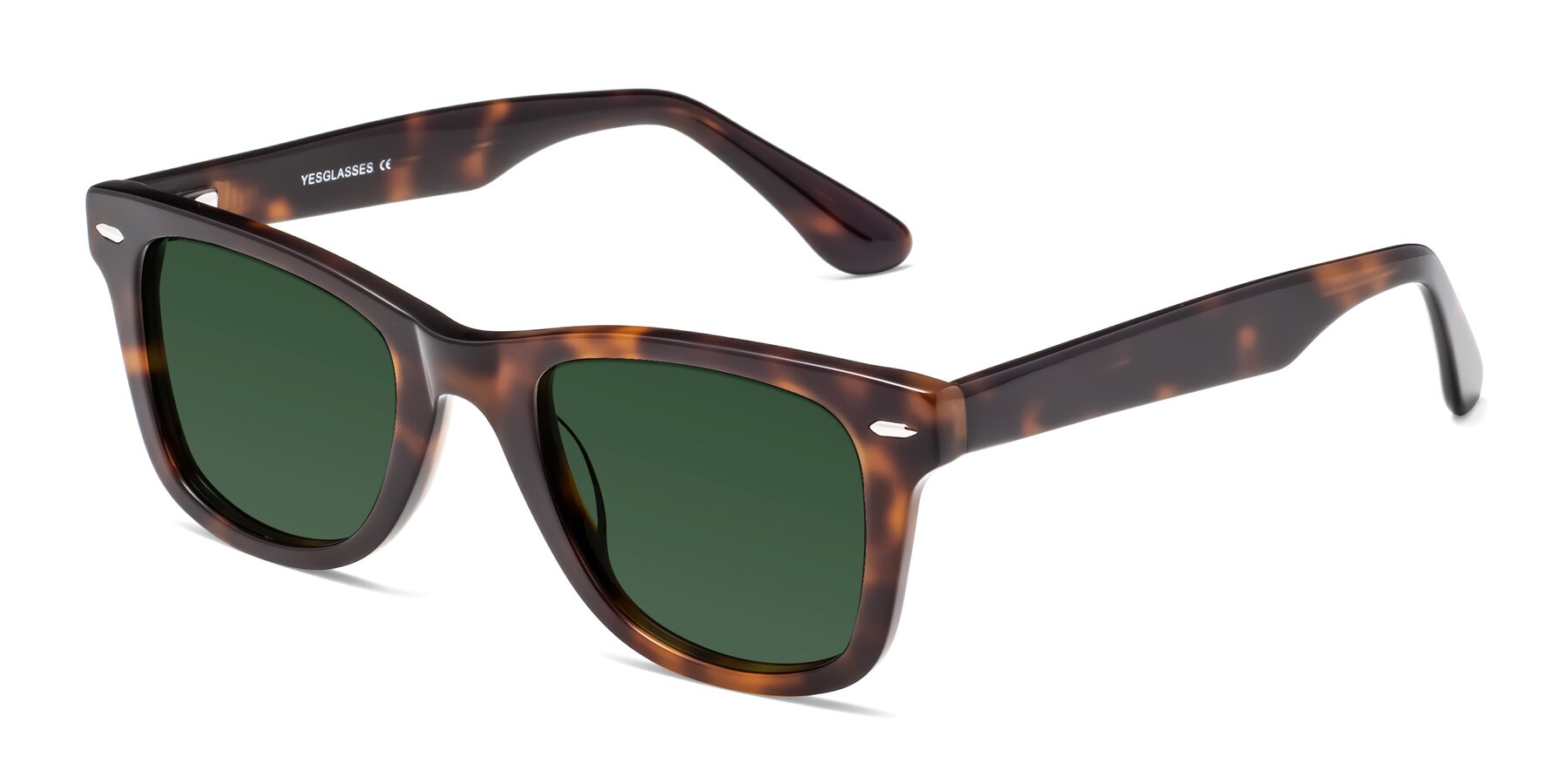 Angle of Rocky in Tortoise with Green Tinted Lenses