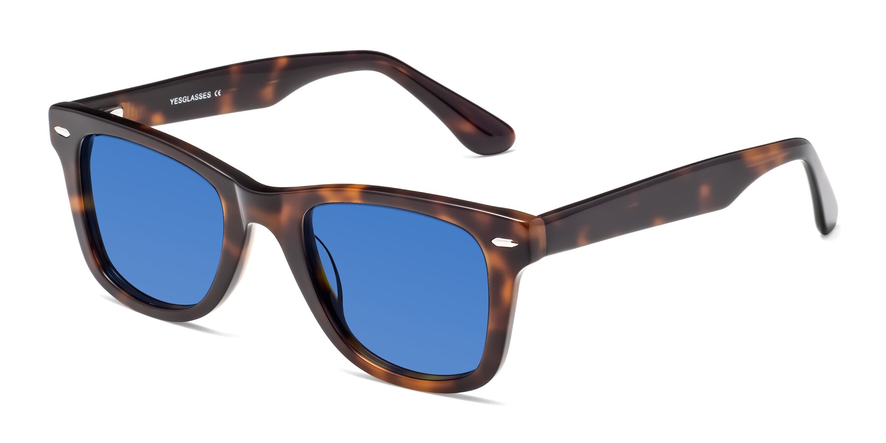 Angle of Rocky in Tortoise with Blue Tinted Lenses