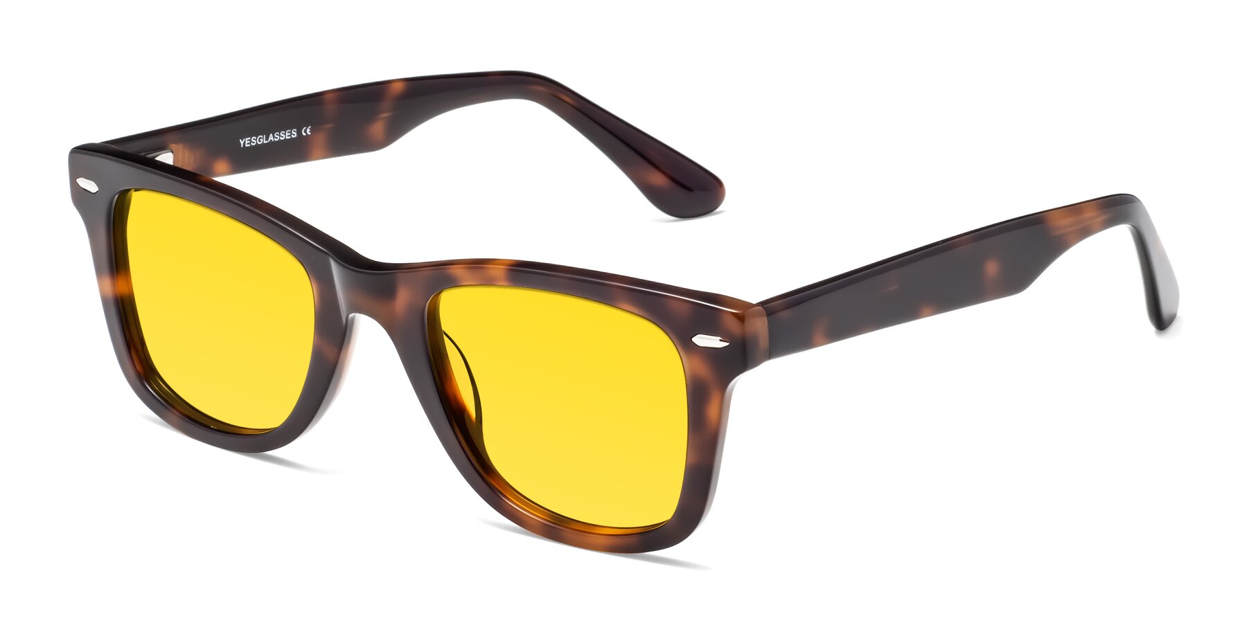 Angle of Rocky in Tortoise with Yellow Tinted Lenses