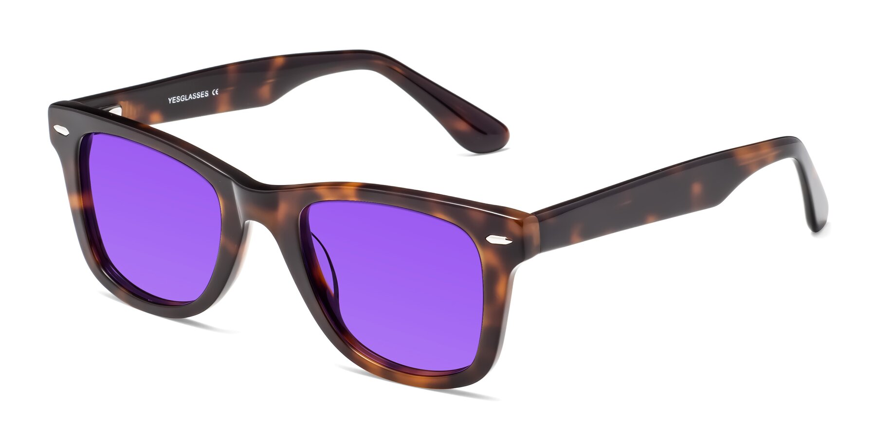 Angle of Rocky in Tortoise with Purple Tinted Lenses