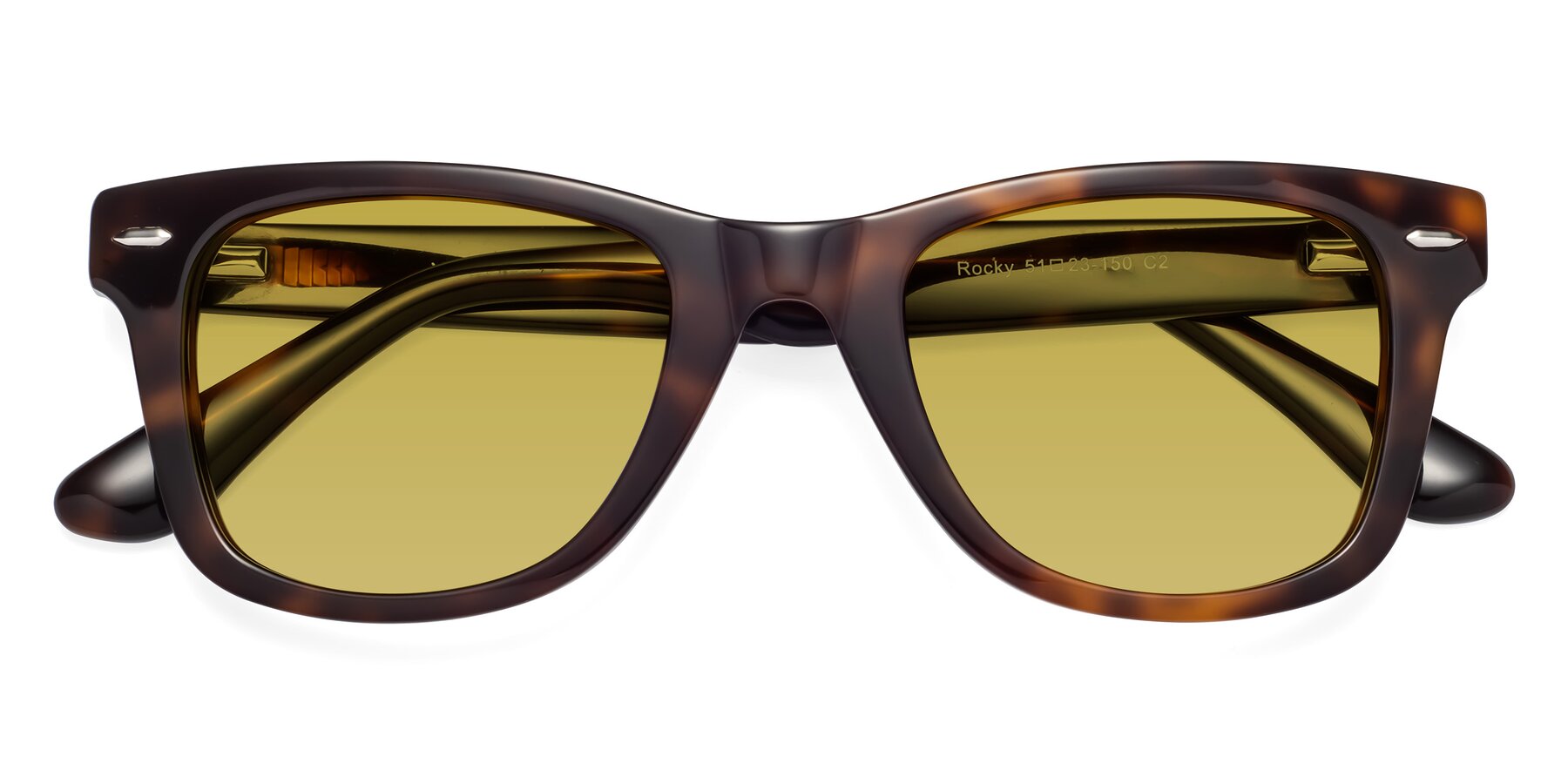 Folded Front of Rocky in Tortoise with Champagne Tinted Lenses
