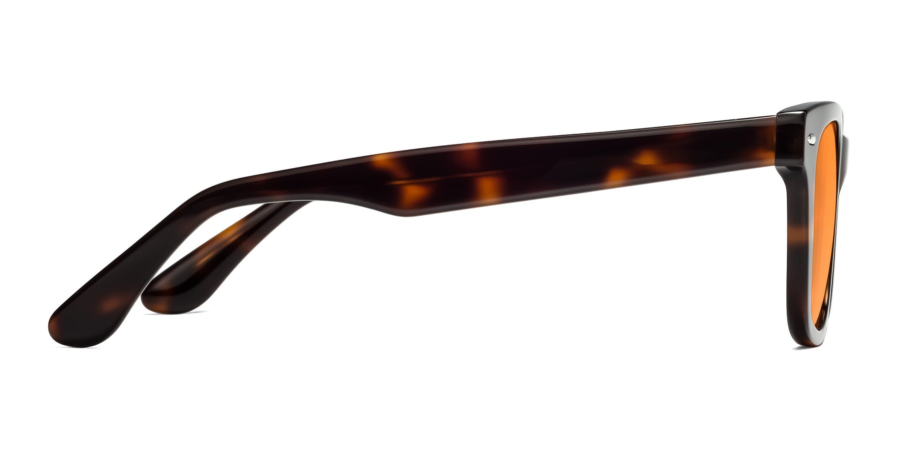 Side of Rocky in Tortoise with Orange Tinted Lenses