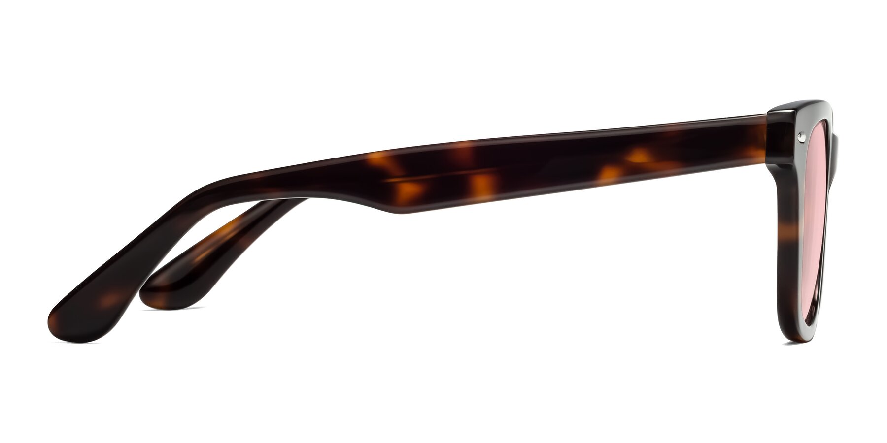 Side of Rocky in Tortoise with Light Garnet Tinted Lenses