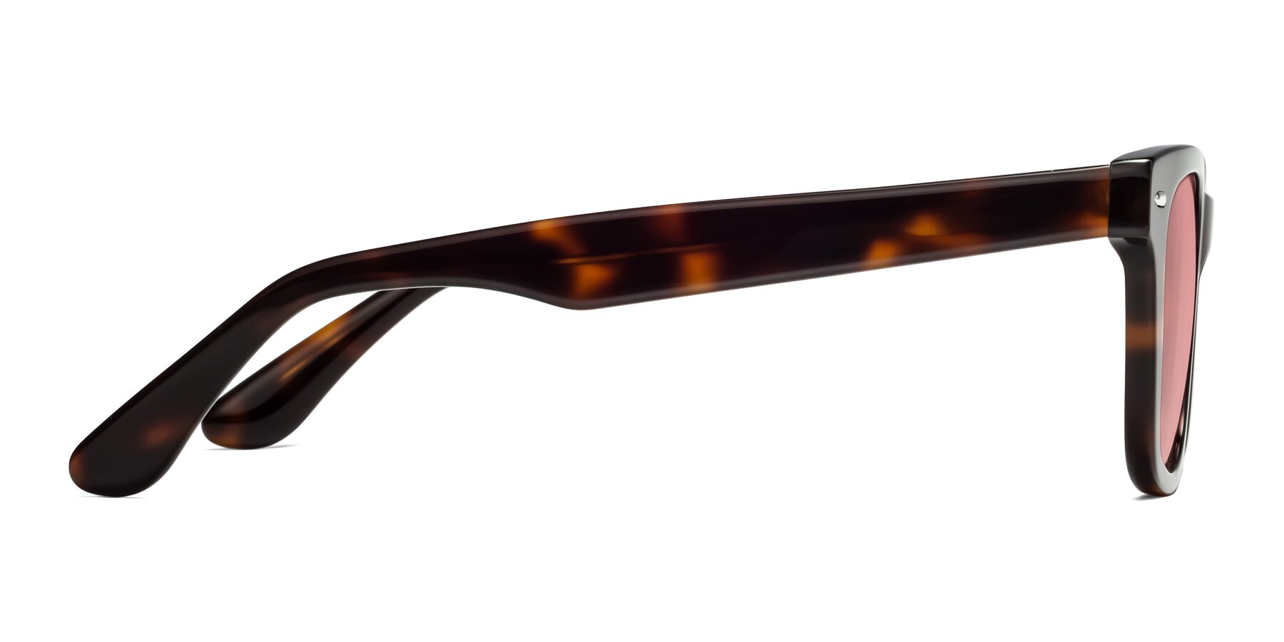 Side of Rocky in Tortoise with Medium Garnet Tinted Lenses