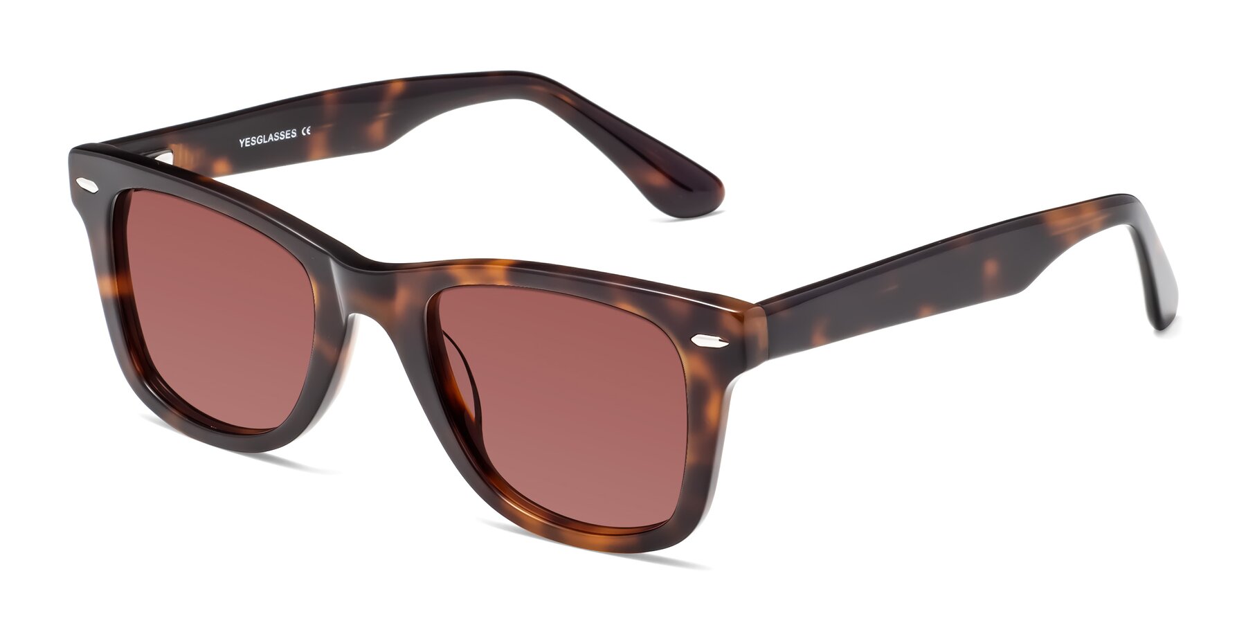 Angle of Rocky in Tortoise with Garnet Tinted Lenses