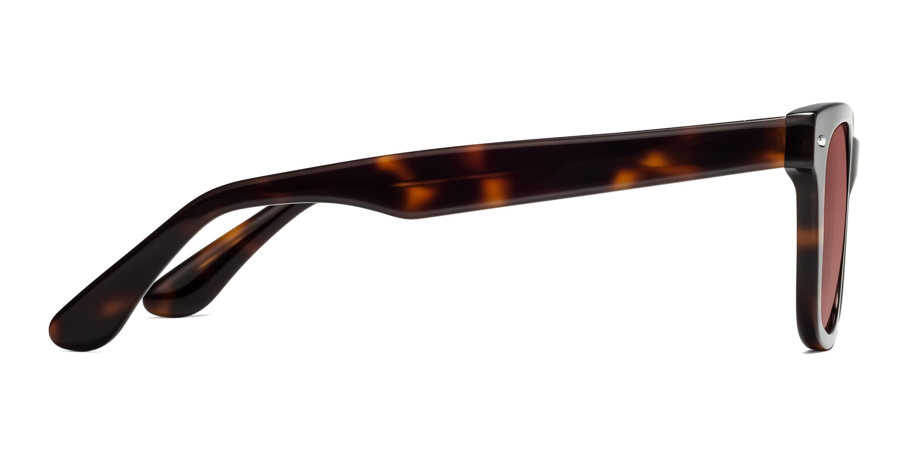 Side of Rocky in Tortoise with Garnet Tinted Lenses