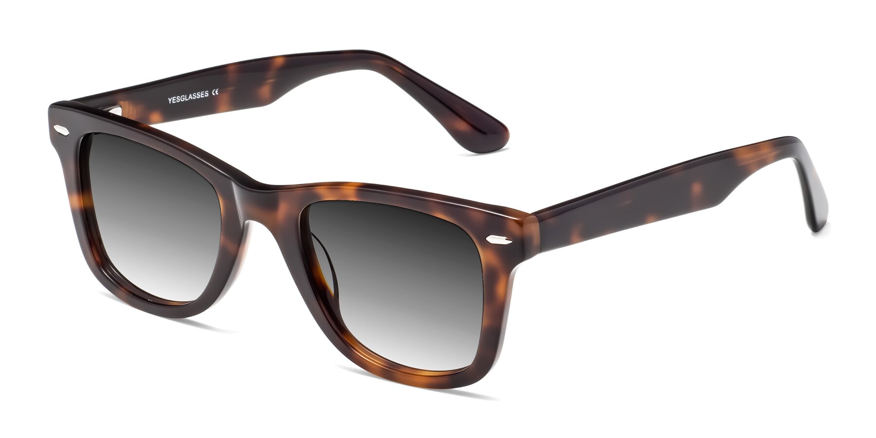 Angle of Rocky in Tortoise with Gray Gradient Lenses