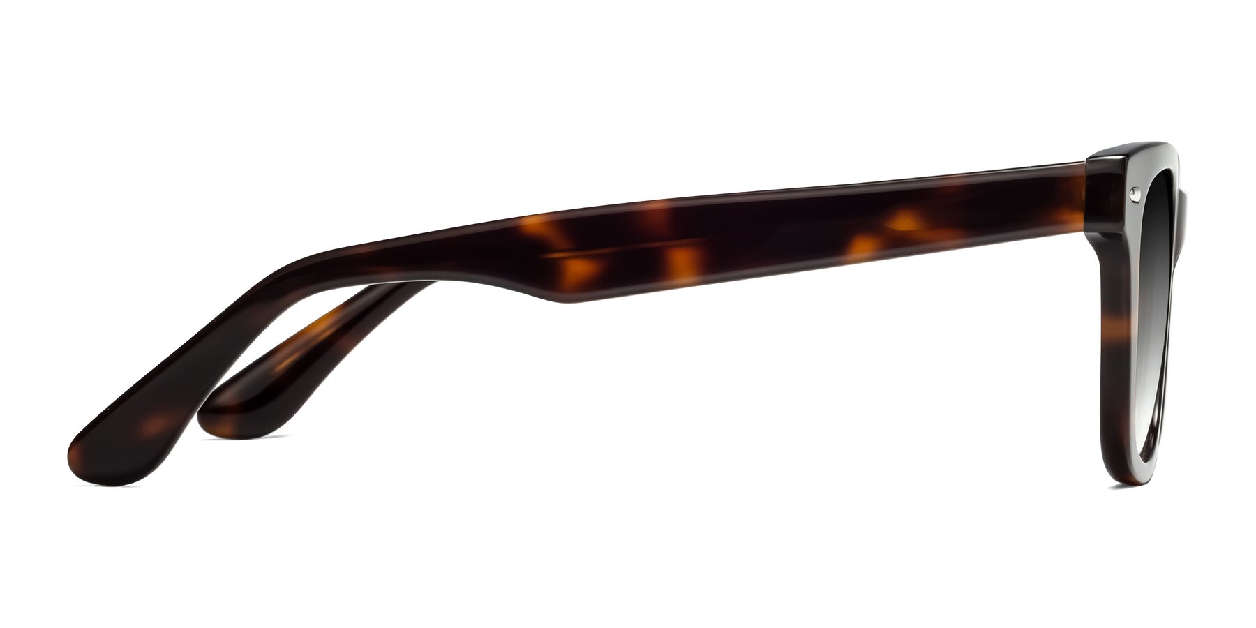 Side of Rocky in Tortoise with Gray Gradient Lenses