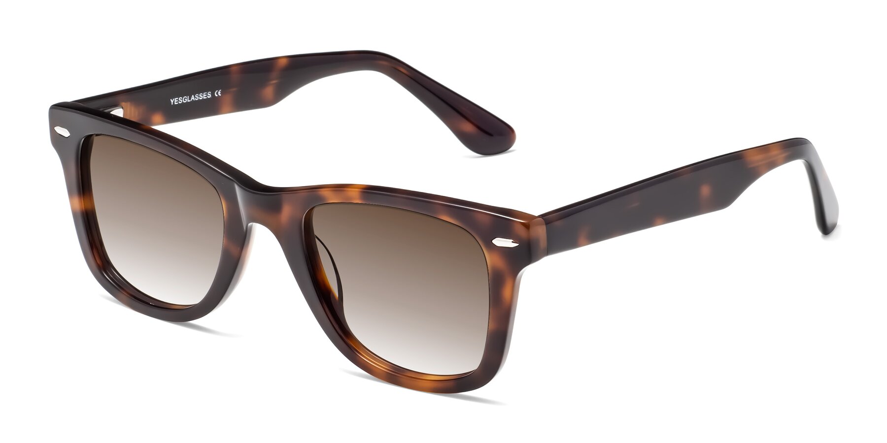 Angle of Rocky in Tortoise with Brown Gradient Lenses