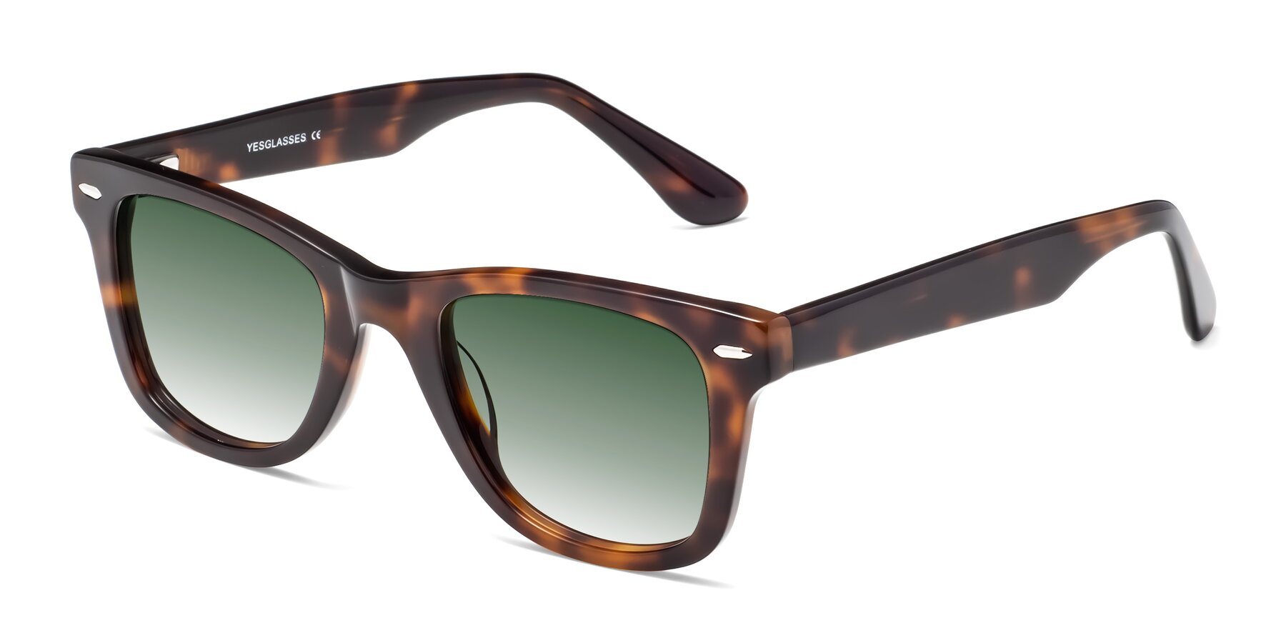 Angle of Rocky in Tortoise with Green Gradient Lenses