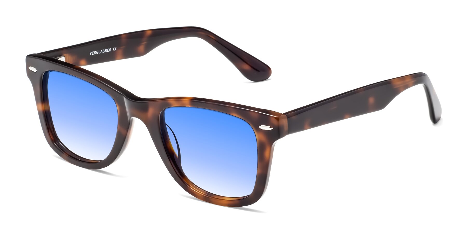 Angle of Rocky in Tortoise with Blue Gradient Lenses