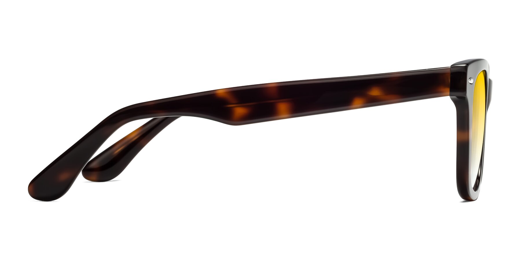 Side of Rocky in Tortoise with Yellow Gradient Lenses