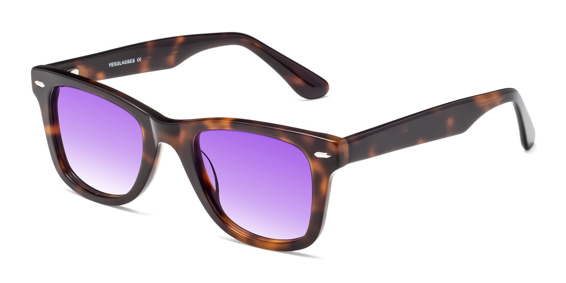Angle of Rocky in Tortoise with Purple Gradient Lenses