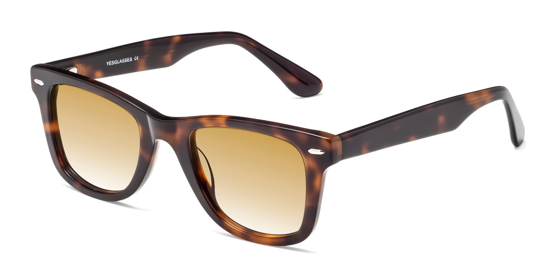 Angle of Rocky in Tortoise with Champagne Gradient Lenses