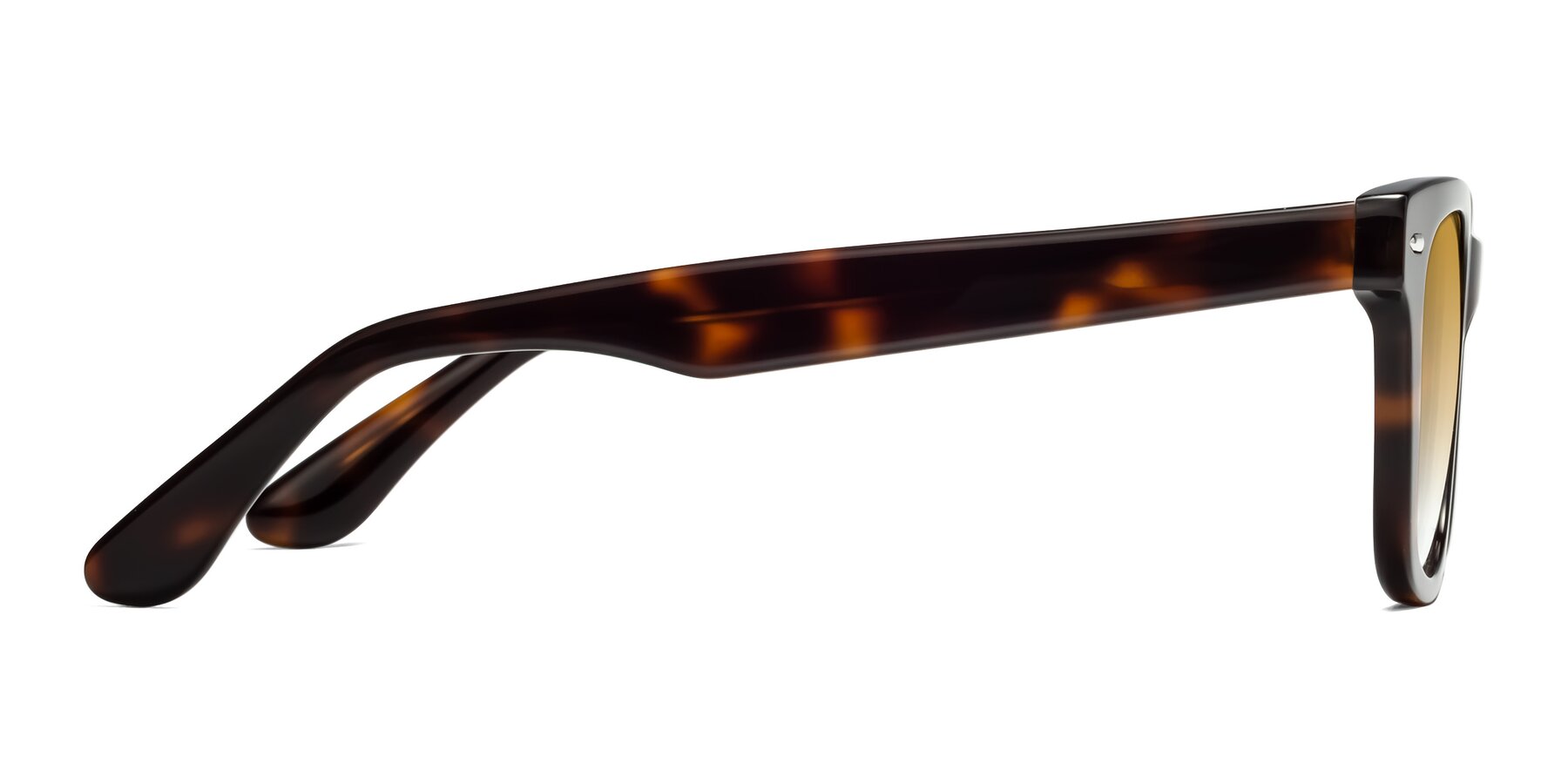 Side of Rocky in Tortoise with Champagne Gradient Lenses