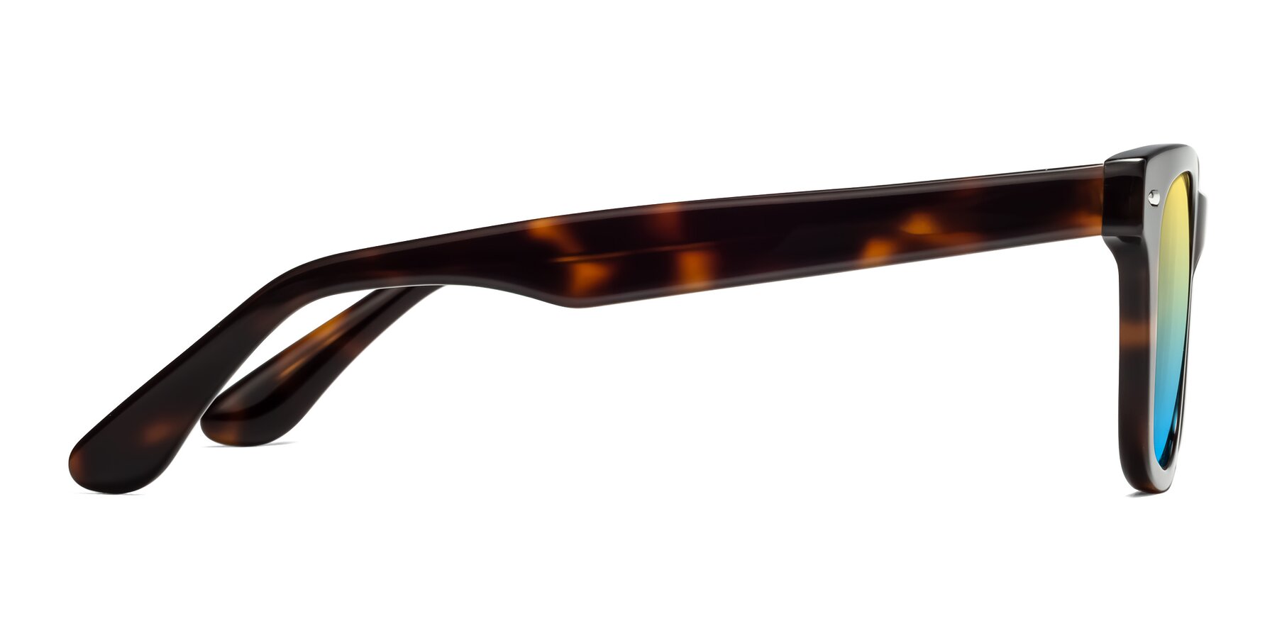 Side of Rocky in Tortoise with Yellow / Blue Gradient Lenses