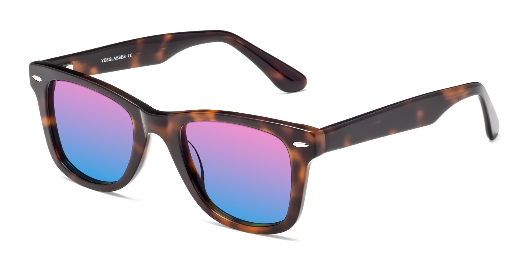 Angle of Rocky in Tortoise with Pink / Blue Gradient Lenses