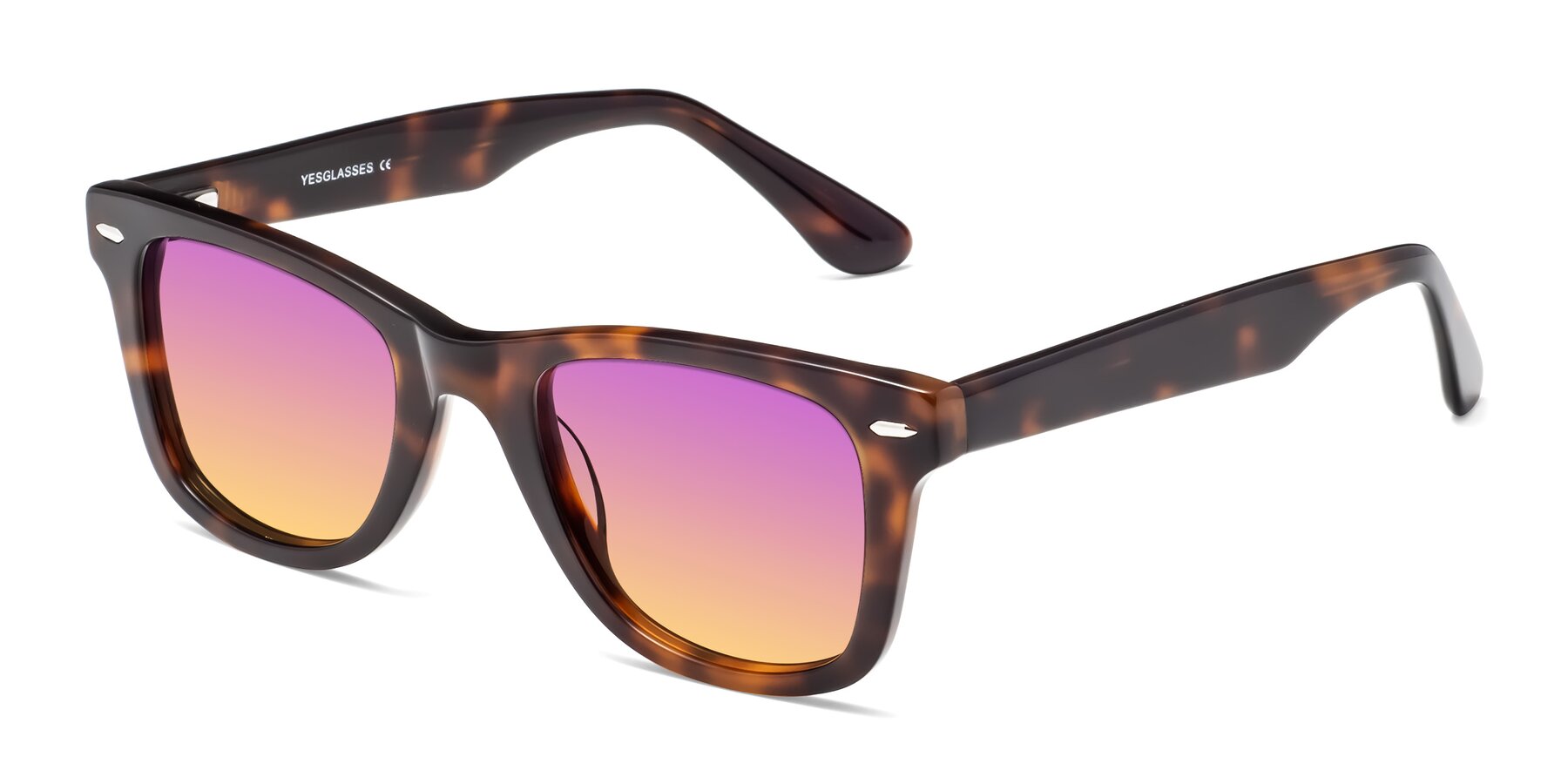 Angle of Rocky in Tortoise with Purple / Yellow Gradient Lenses