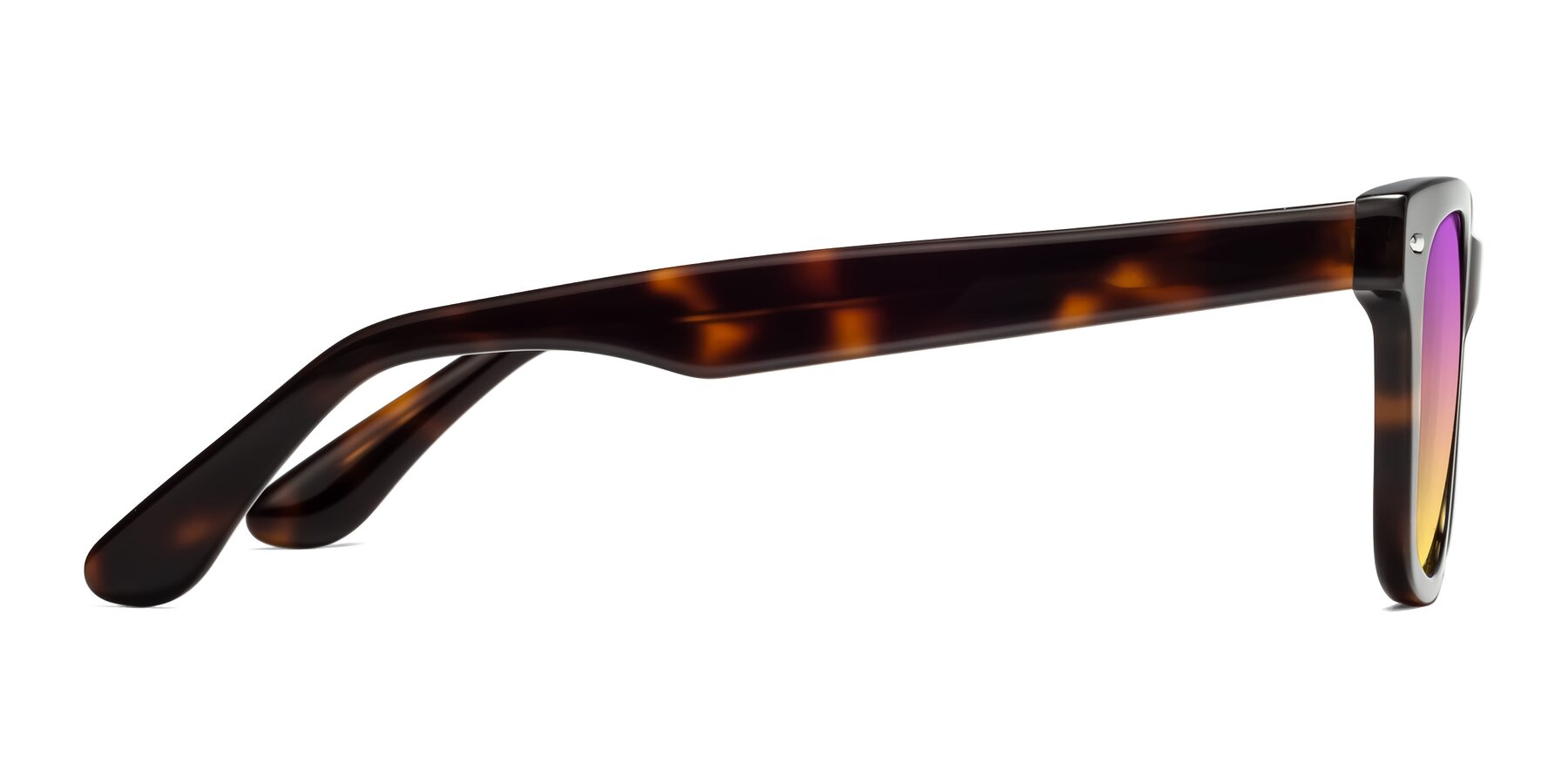 Side of Rocky in Tortoise with Purple / Yellow Gradient Lenses