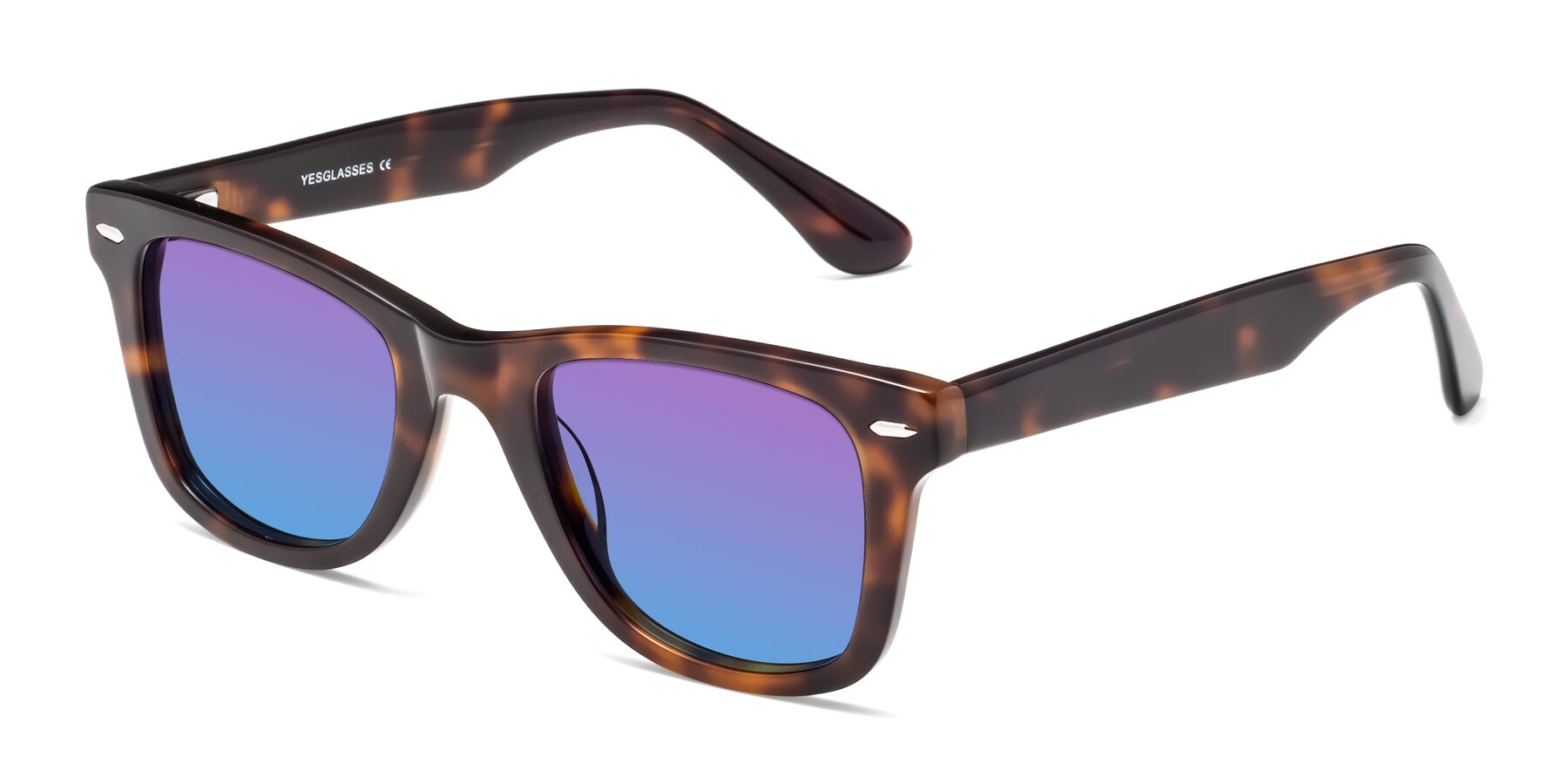 Angle of Rocky in Tortoise with Purple / Blue Gradient Lenses
