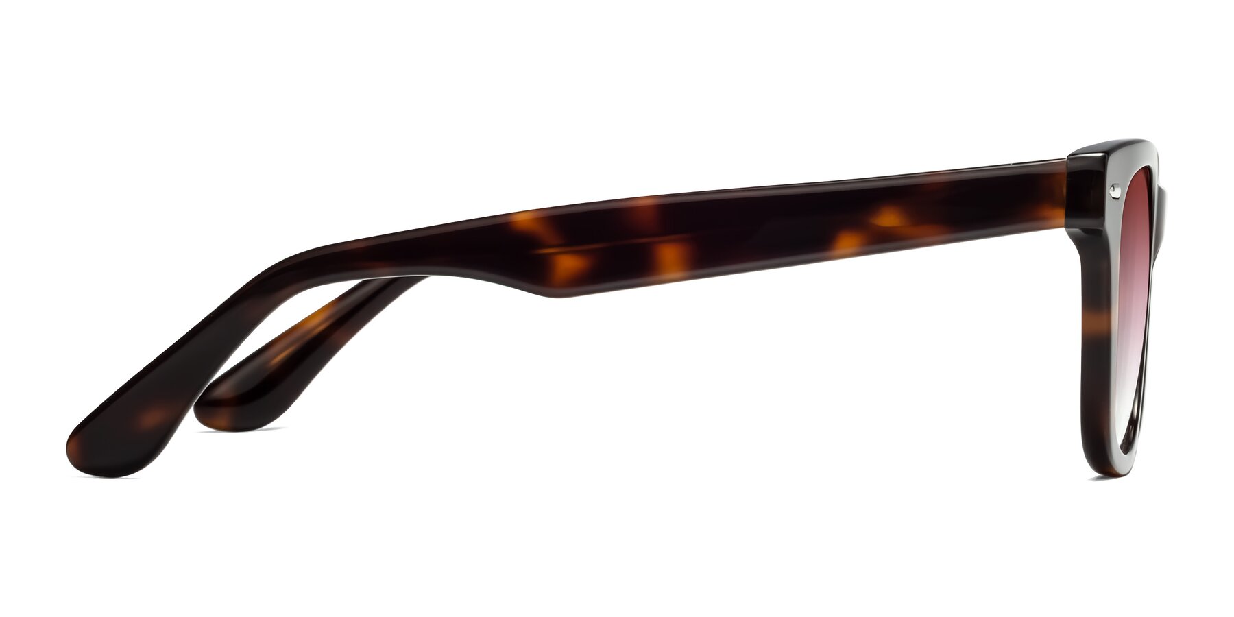 Side of Rocky in Tortoise with Garnet Gradient Lenses