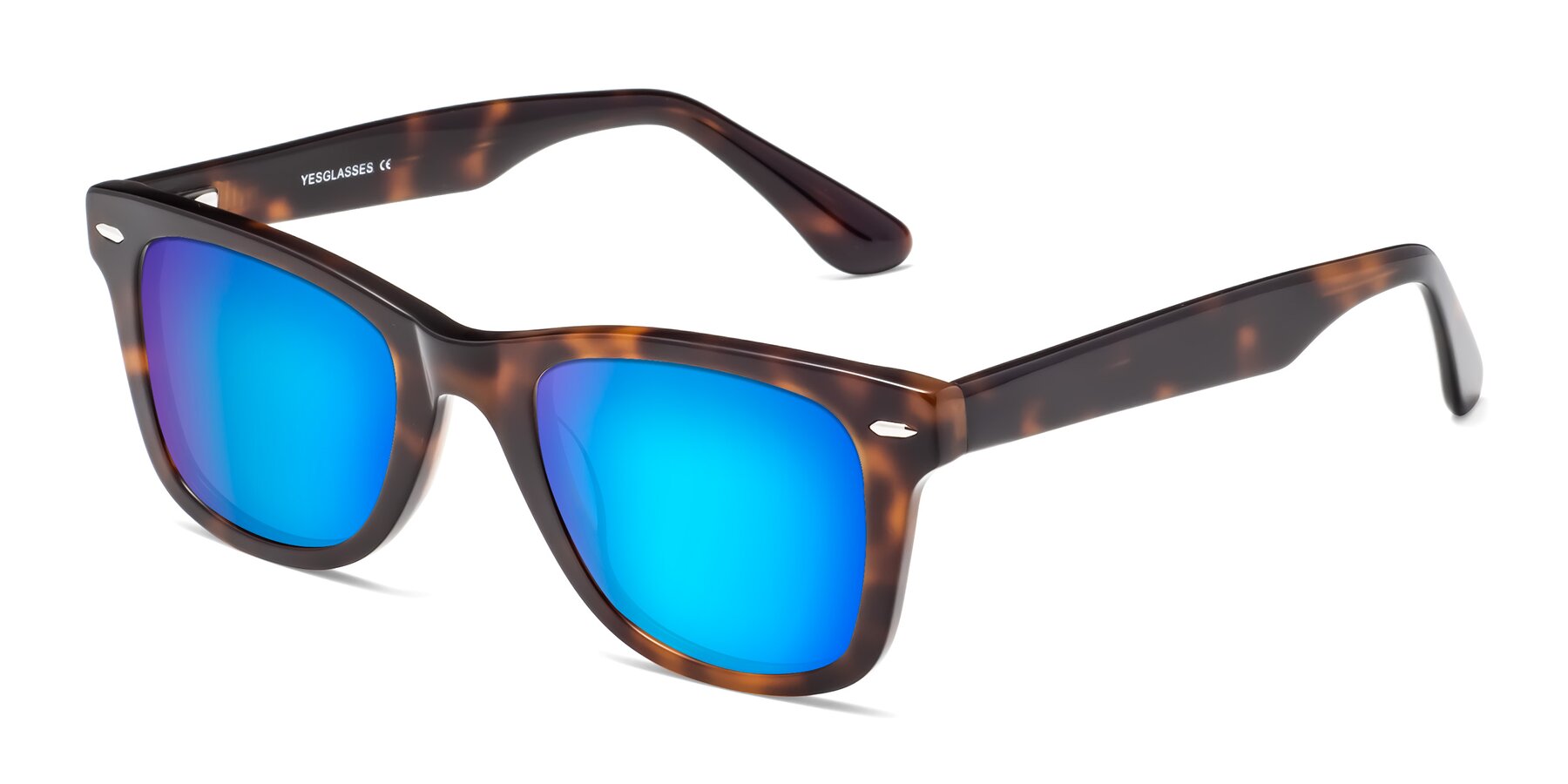 Angle of Rocky in Tortoise with Blue Mirrored Lenses