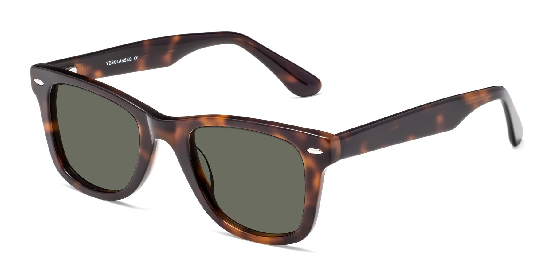 Angle of Rocky in Tortoise with Gray Polarized Lenses