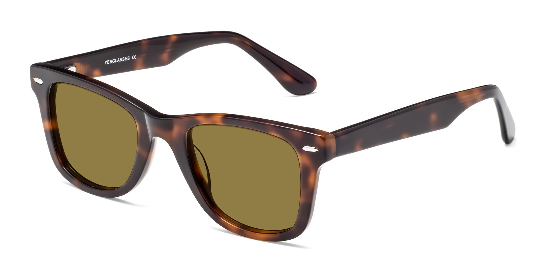 Angle of Rocky in Tortoise with Brown Polarized Lenses
