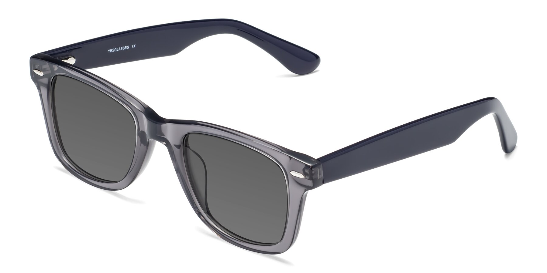 Angle of Rocky in Transprent Grey with Medium Gray Tinted Lenses