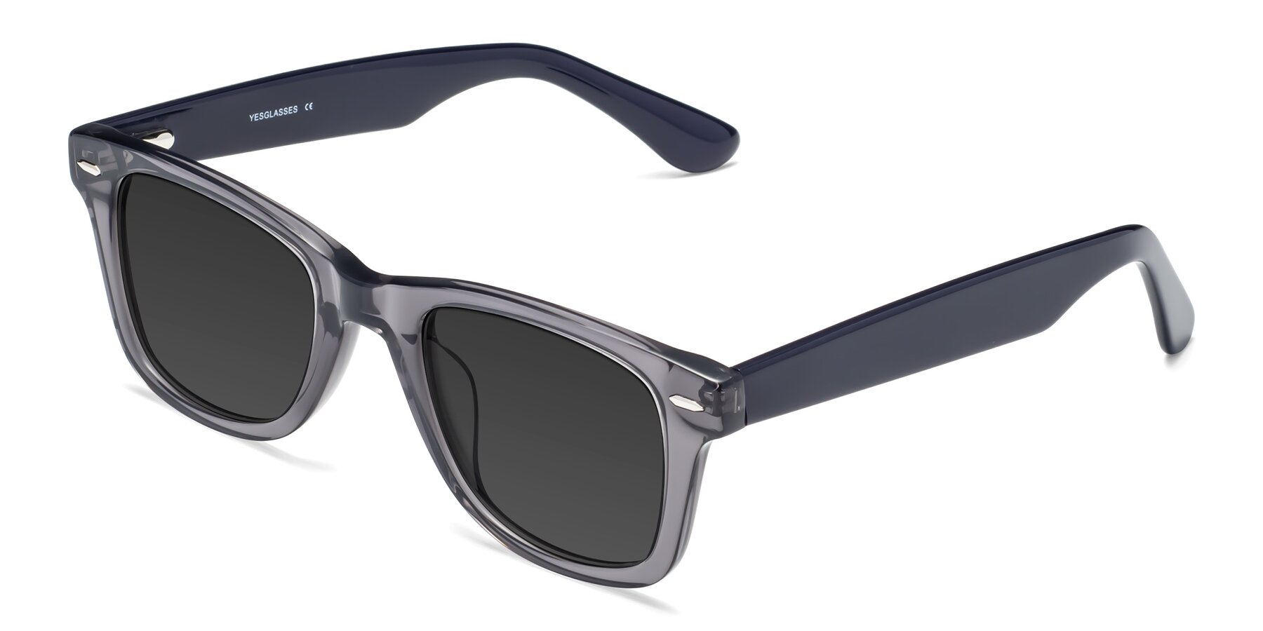 Angle of Rocky in Transprent Grey with Gray Tinted Lenses