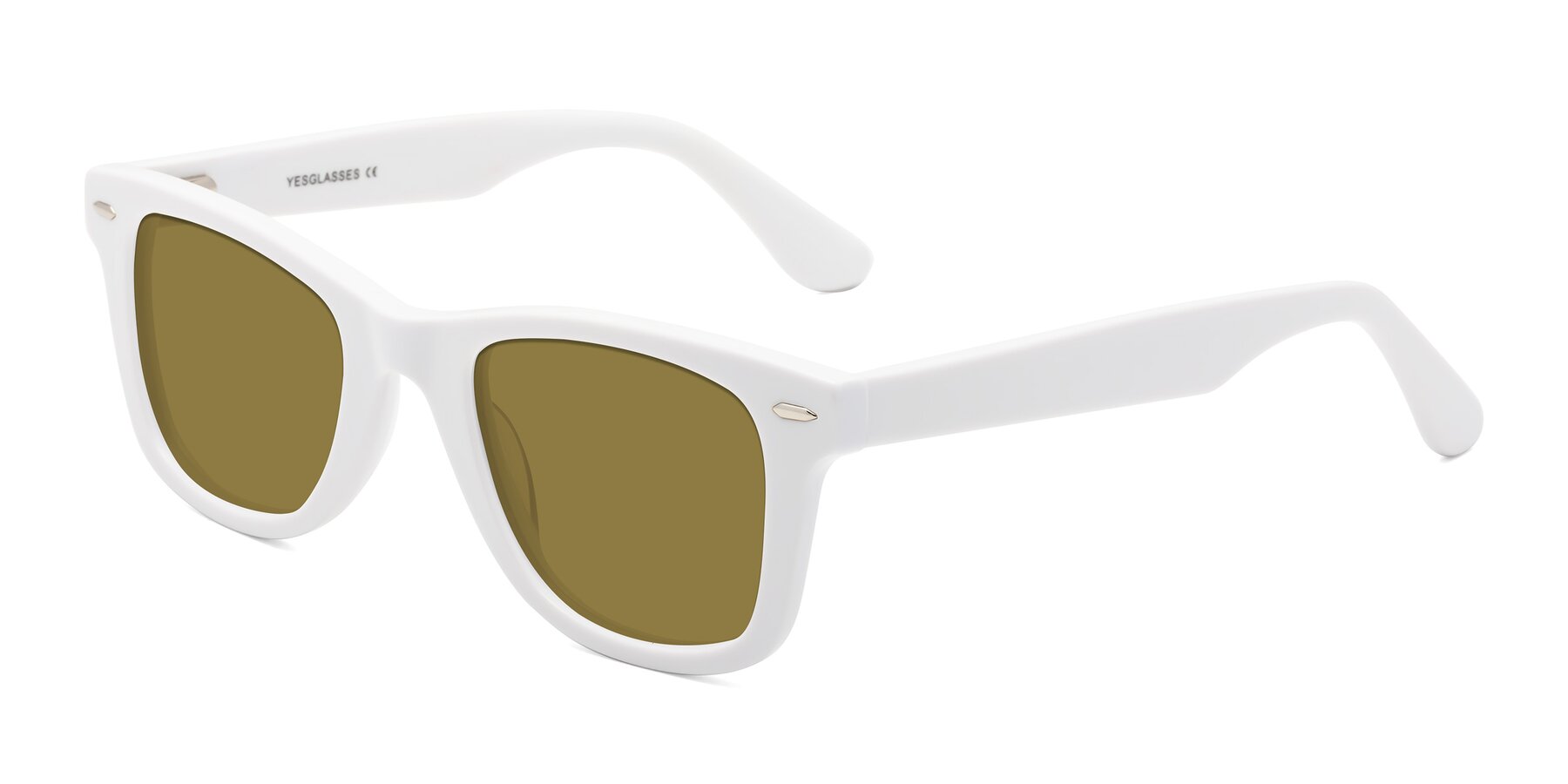 Angle of Rocky in White with Brown Polarized Lenses