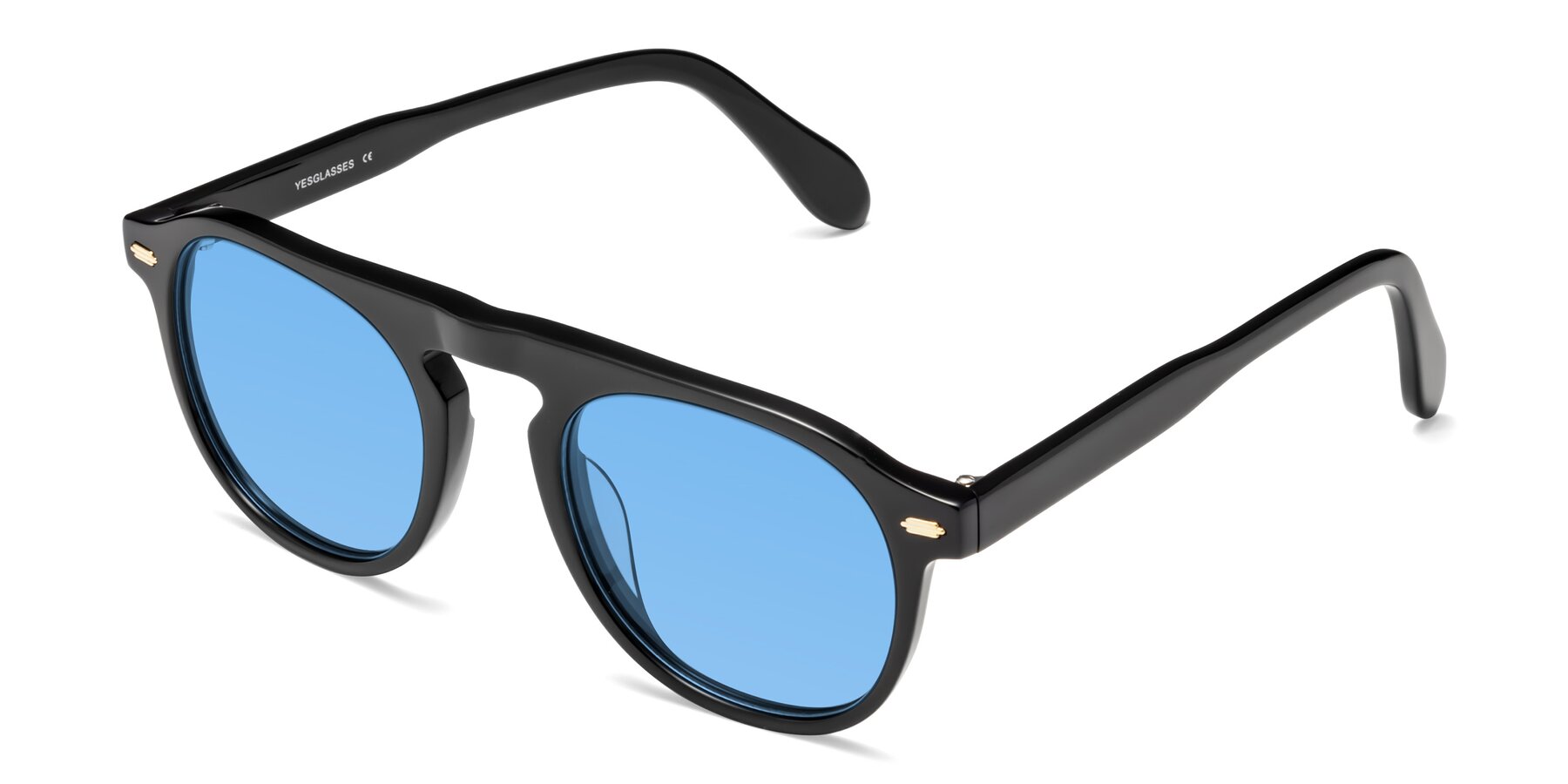 Angle of Mufasa in Black with Medium Blue Tinted Lenses