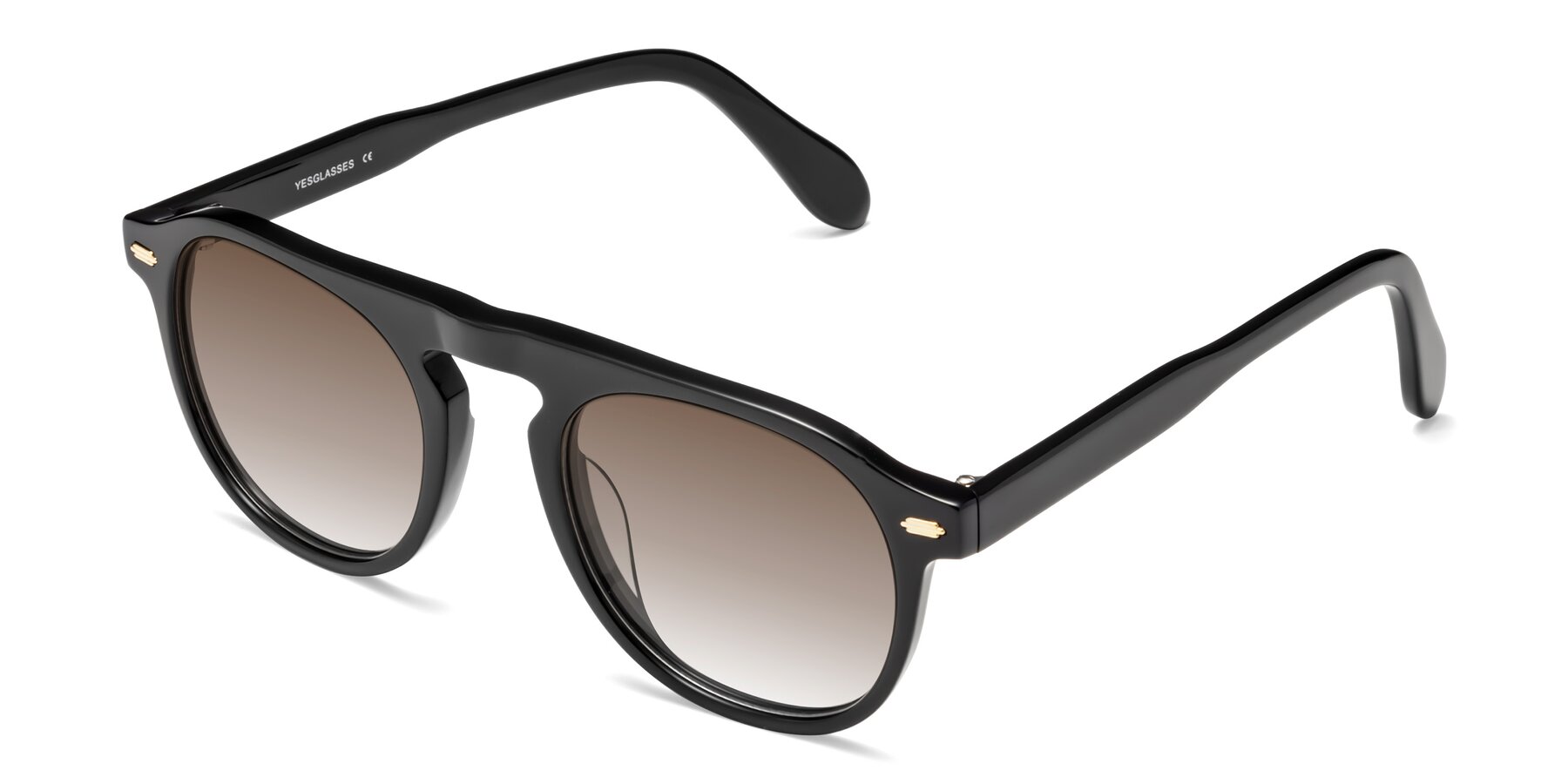 Angle of Mufasa in Black with Brown Gradient Lenses