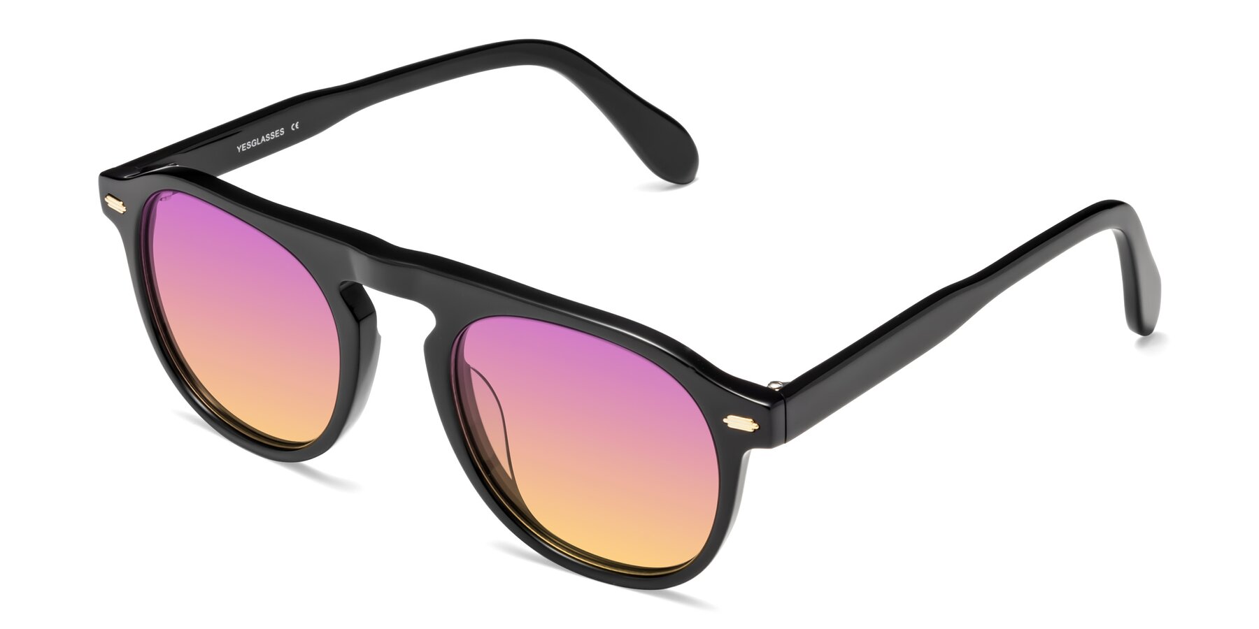 Angle of Mufasa in Black with Purple / Yellow Gradient Lenses