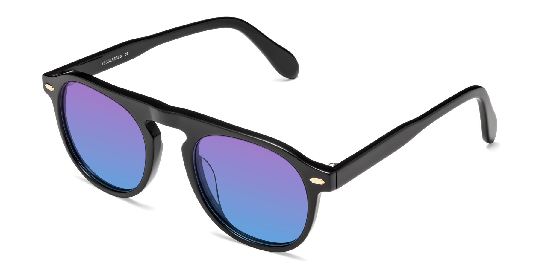 Angle of Mufasa in Black with Purple / Blue Gradient Lenses