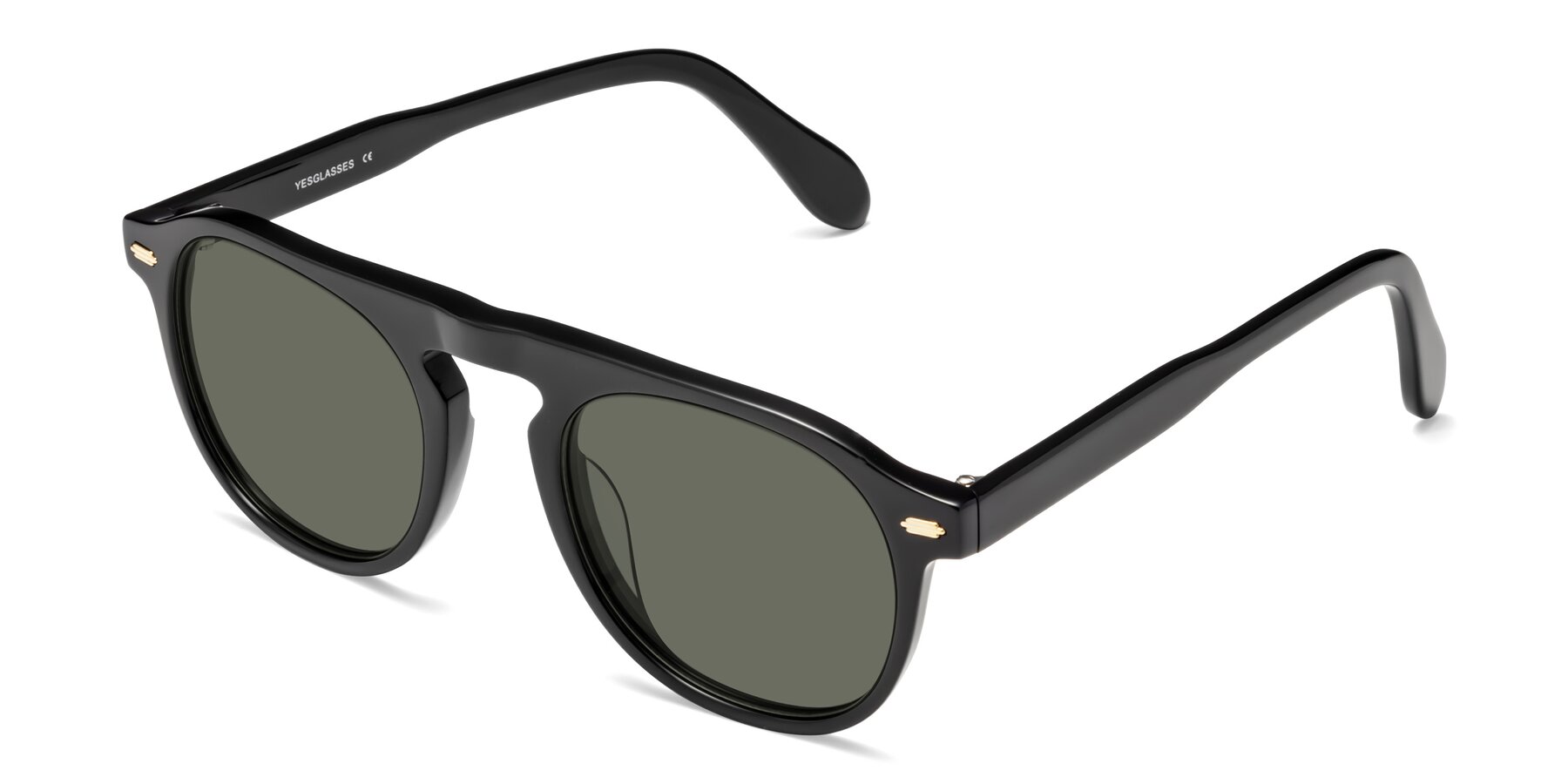 Angle of Mufasa in Black with Gray Polarized Lenses