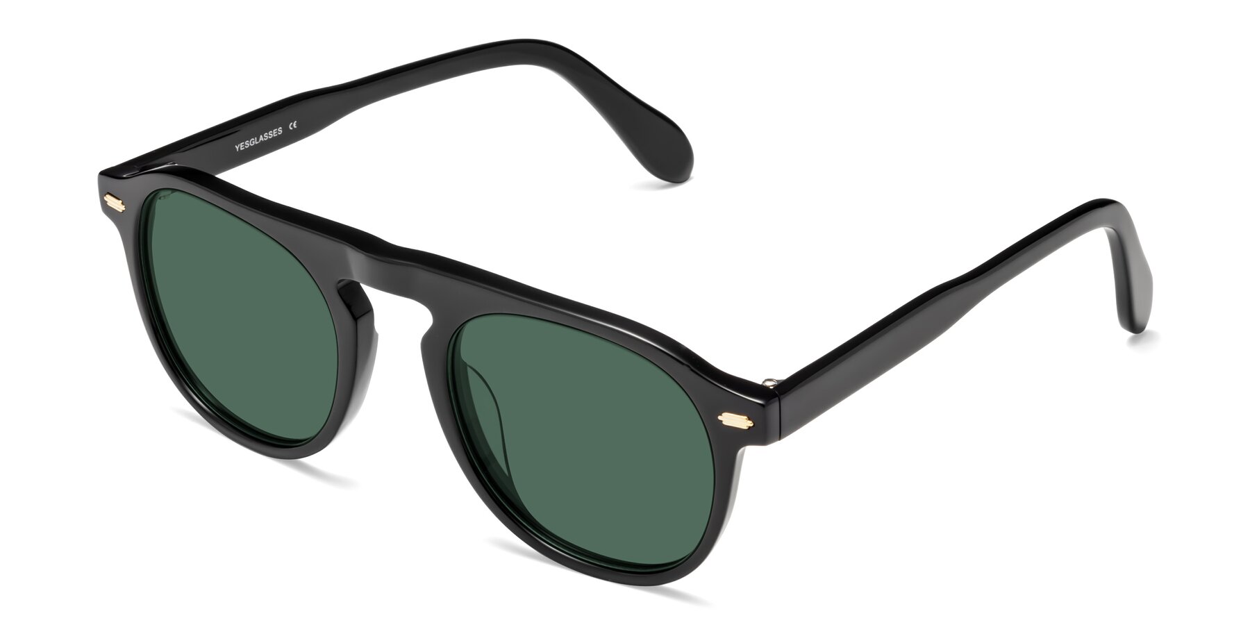 Angle of Mufasa in Black with Green Polarized Lenses